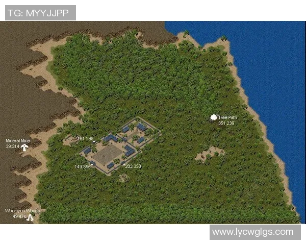 传奇七号球星的足迹与辉煌成就解析